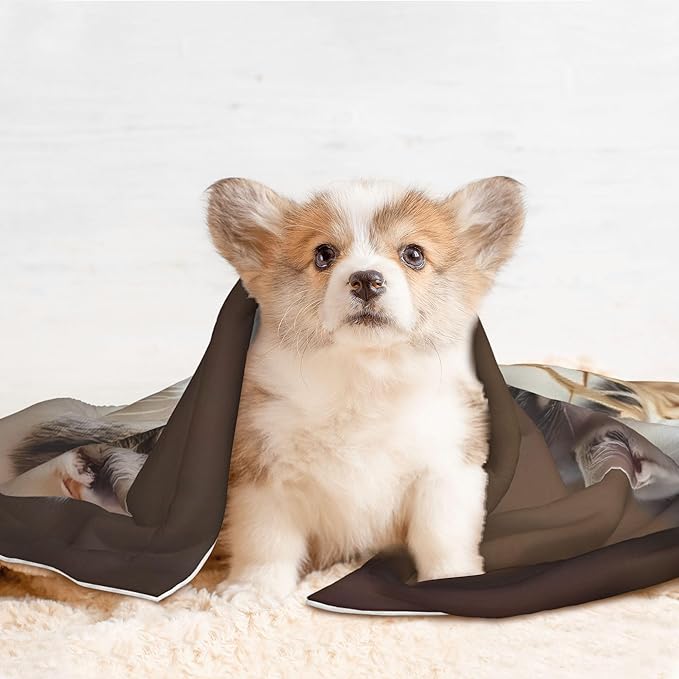 Waterproof Dog Blanket Soft Pet Blanket for Puppy, Fleece Cat Throw Blankets for Furniture Bed Couch Sofa Reversible - Cat Family