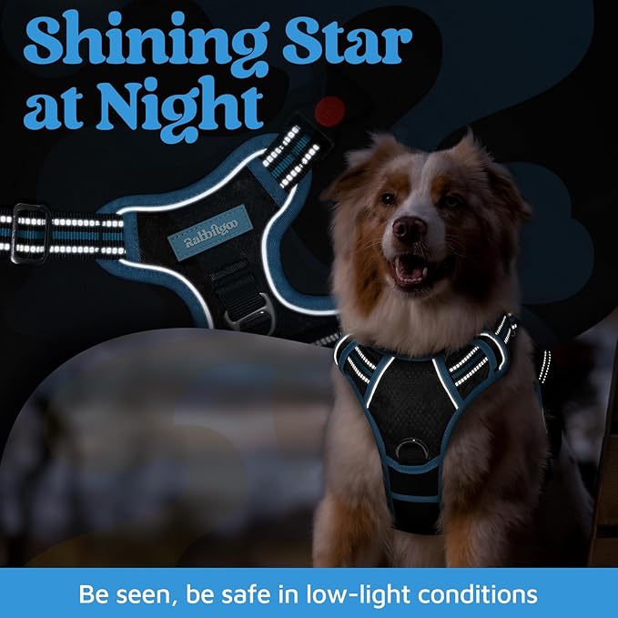 rabbitgoo Dog Harness Small Sized, No Pull Dog Vest with 3 Buckles, Adjustable Soft Padded Pet Harness with Easy Control Handle and Reflective Strips, Black & Sky Blue, S