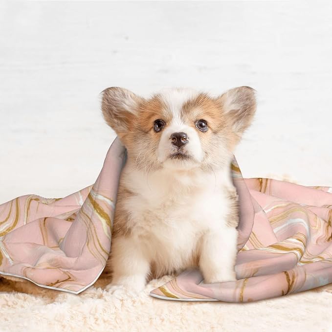 Two Sided Plush Pet Blanket for Crates Carriers Home Use, Pink Tie Dye Marble Texture, Reversible Throw with Cozy Dot Fabric and Silky Reverse for Small Large Pets