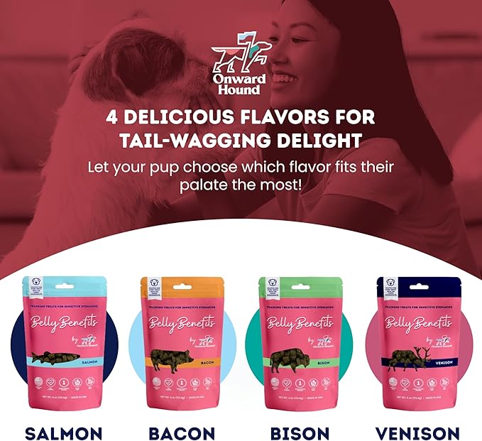 Training Treats for Dogs - Soft Salmon - Low Calorie Dog Training Treats for Sensitive Stomachs with Single Source Premium Protein, Corn Free, & Soy Free Formula - 4 oz