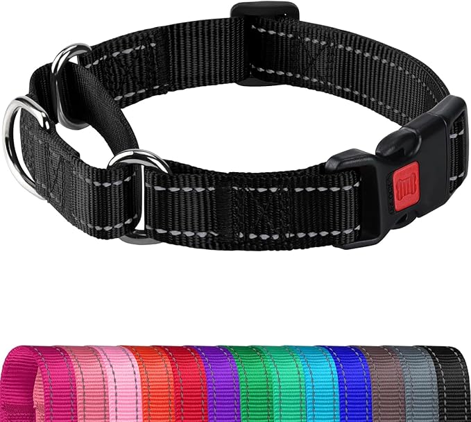Joytale Martingale Collar for Dogs, Reflective Heavy Duty for Safety, Quick Release Buckle, Adjustable Nylon Collars for Large Dogs Walking Training, Black,L