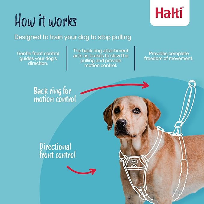 Halti No Pull Harness - Stop Your Dog Pulling on The Leash. Adjustable, Lightweight and Easy to Use. Reflective Dog Training Harness for Large Dogs (Size L, Cobalt Blue)