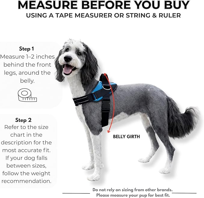 ShawnCo Essential Dog Harness, No-Pull Pet Vest with 3 Leash Clips, No Choke, Reflective, Adjustable and Padded, for Easy Walking and Training for Small, Medium and Large Dogs (USA Flag,L)