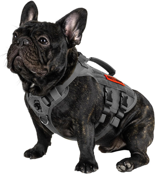 OneTigris Tactical Dog Harness for Small Dogs, No Pull Small Dog Vest Harness with Handles Breathable Military Dogs Molle Vests, Harness for Walking Hiking Training (Grey, XS)