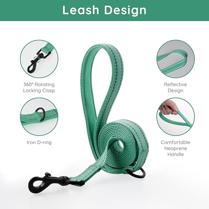 BELLA & PAL Step in Vest Harness for Small and Medium Dogs, No Pull Small Dog Harness with Leash Set, Comfortable Air Mesh Dog Vest Harness with Reflective Strip (Emerald, XXS)