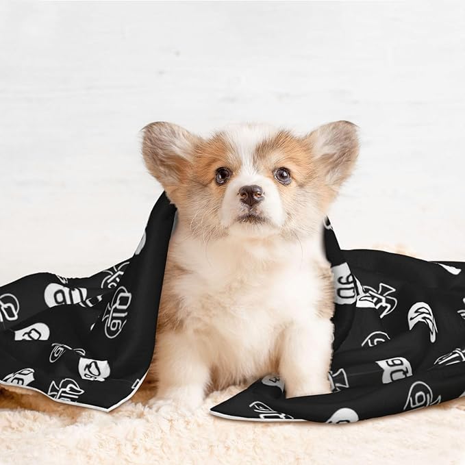 Dog and Cat Blanket in One, Golden Queen of Spades Printed Black, Double Sided Plush Throw with Raised Dot Pattern on One Side and Flat Velvet on Other for Variety