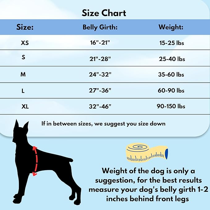 ShawnCo Dream Walk No-Pull Dog Harness- Adjustable, Comfortable, Easy to Use Pet Halter to Help Stop Pulling for Small, Medium and Large Dogs (Sunset Orange, S)