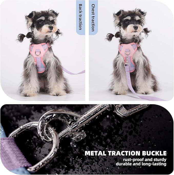 Small Dog Harness and Leash Set, Breathable Mesh Puppy Harness, Adjustable Dog Harness for Small Medium Large Dogs, No-Pull Pet Harness for Daily Walking (Blue, X-Large)