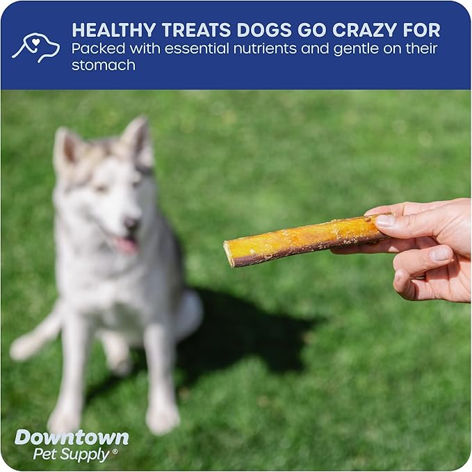 Downtown Pet Supply Jumbo Bully Sticks for Dogs - Natural Beef Chews, Low-Odor & Rawhide-Free, Long Lasting Dog Treats for Aggressive Chewers - Healthy, Safe & Delicious Chews Dogs Love (12" 10 Pack)