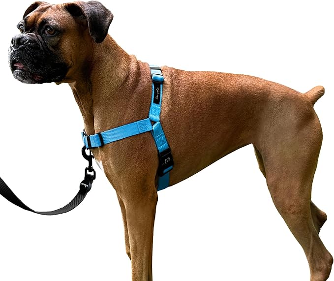 ShawnCo Dream Walk No-Pull Dog Harness- Adjustable, Comfortable, Easy to Use Pet Halter to Help Stop Pulling for Small, Medium and Large Dogs (Oceanic Blue, M)