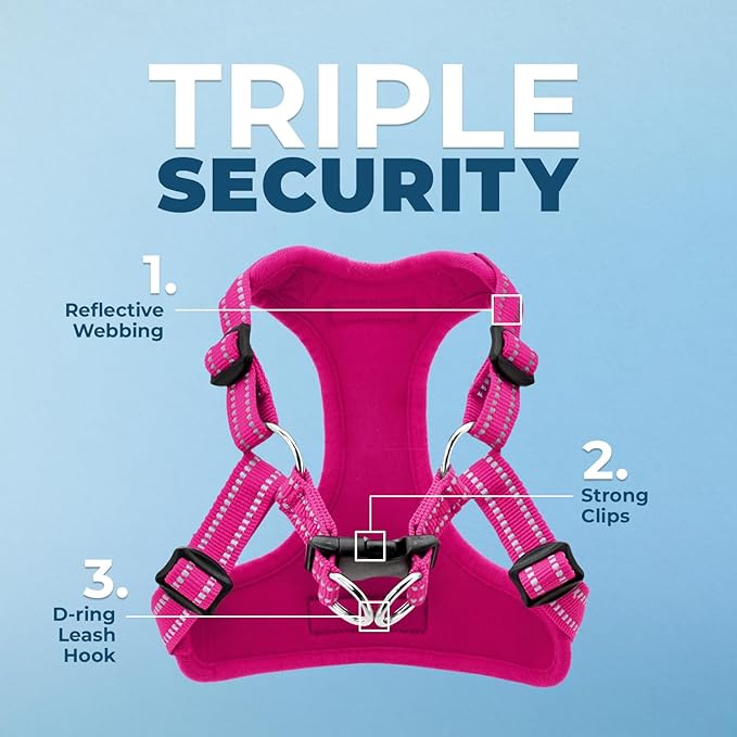 Best Pet Supplies Voyager Adjustable Step-in Flex Breathable Mesh Dog Harness for Small Medium Large Dogs (Fuchsia), M