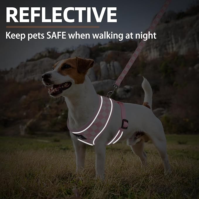 PUPTECK Soft Mesh Dog Harness and Leash Set Pet Puppy Cat Comfort Padded Vest No Pull Harnesses, Checkered Pink&White, S