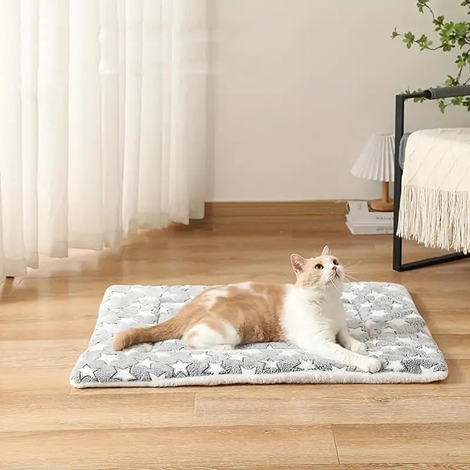 Dog Throw Blankets Warm Pet Cover Blankets, Couch Bed Furniture Protection Kitten Bed Blankets Cat Blankets Puppy Sleeping Mats for Small Medium Dogs Cats (75 * 60cm,Style 2)
