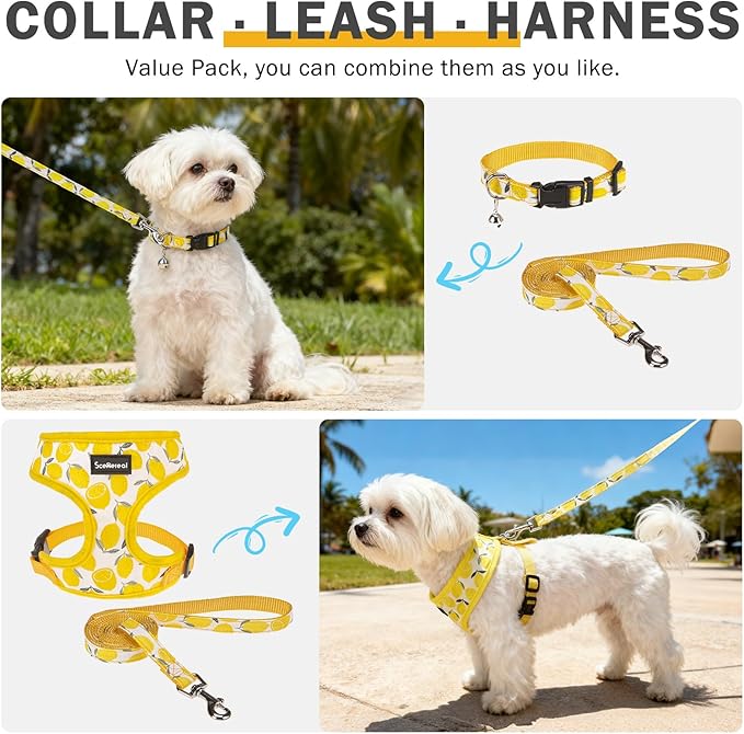 SCENEREAL Small Dog Harness and Leash Collar Set - No Pull Dog Harness for Small & Medium Sized Dogs - Soft Mesh Vest for Puppies, Chihuahua, Yorkie, Spring Summer Hiking Walking, Yellow Lemon S
