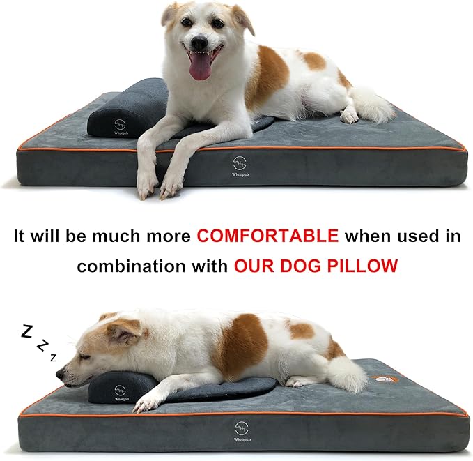 Hard-Wearing Orthopedic Dog Bed for Crate, 53x36 Inch, Made of Memory and HR Foam, Two-Sided Use, Providing Soft and Relatively Hard Support, with an Extra Inner Waterproof Protector (Gray)