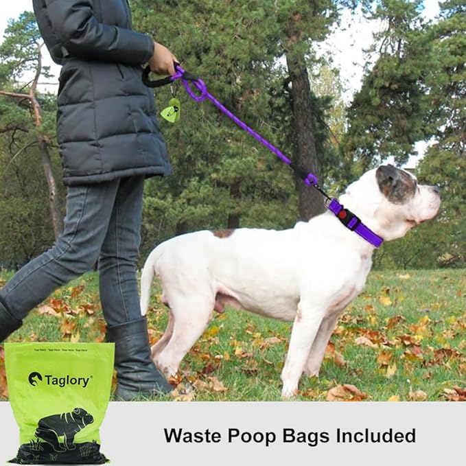 Taglory Rope Dog Leash 6 FT with Comfortable Padded Handle, Highly Reflective Threads Leash and Anti-Tangle Clip for Walking Medium Large Dogs, 1/2 inch, Purple