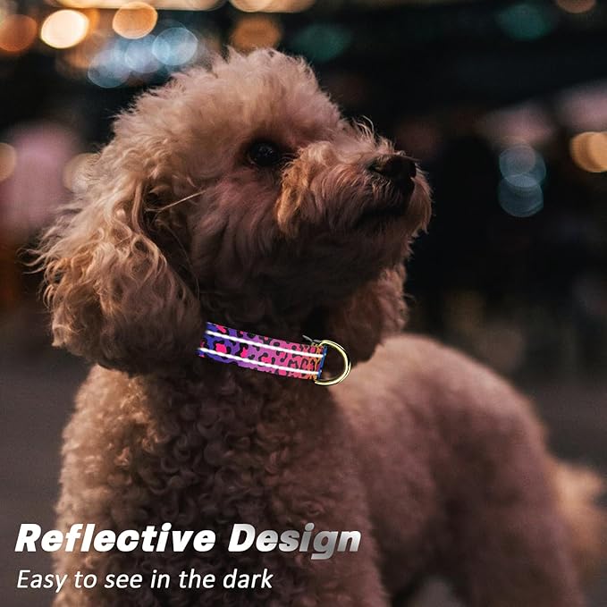 Reflective Dog Collar for Small Dogs Cats, Cute Leopard Style Adjustable Heavy-Duty Nylon Puppy Collar for Boy and Girl Female, Soft Pet Accessories with Quick Release Buckle, Neon