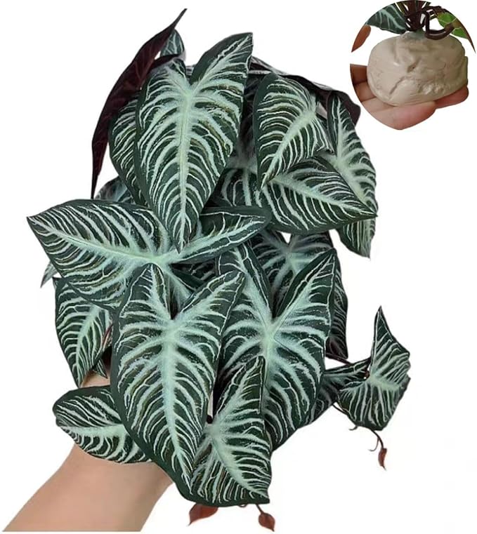 Reptile Plants,Terrarium Decor,Amphibian Habitat Decor,Artificial Plants for Gecko Chameleon Snake Tortoise Tank Accessories with Base(Xanthosoma sagittifolium)