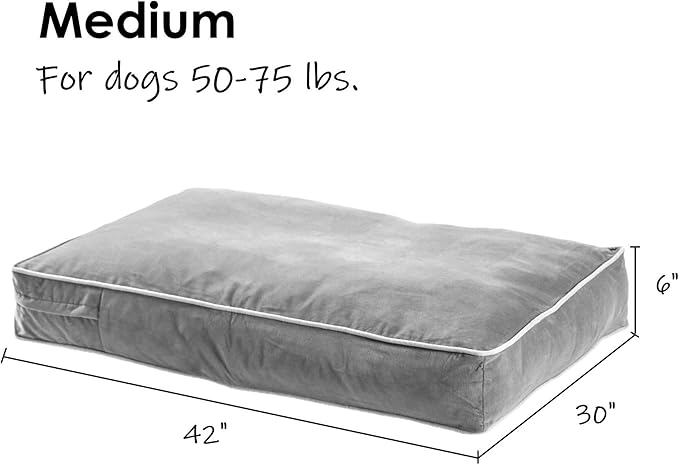 South Pine Porch Buddy Reversible Rectangle Pillow Style Microfiber Dog Bed with Removable, Machine-Washable Cover, Moss, Medium (42 in. x 30 in.)