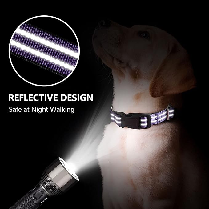 Martingale Dog Collar, Adjustable Nylon Reflective Collar with Buckle No Pull Dog Collar for Small Medium Large Dogs (Purple S)