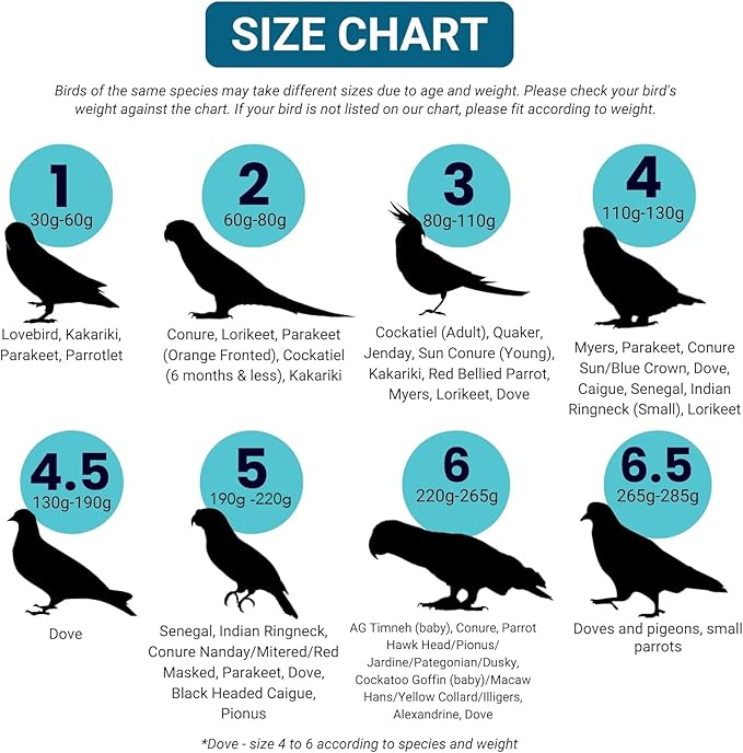 Bev's Bird Boutique Regular Flyper Adjustable Bird Diaper | Reusable, Washable Cloth | Comfort Fit for Parrot, Cockatiels, & Other Small Birds | Fashionable Avian Accessories, Classy Bird Size 16