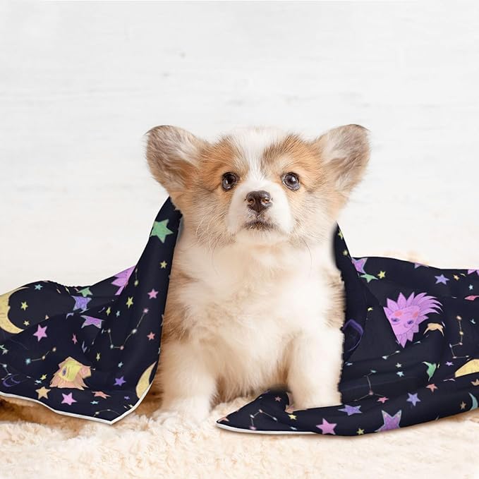 Double Sided Pet Bed Blanket for Added Cushion Warmth, Trippy Sun Moon Stars, Reversible Cover with Textured Dot Surface for Existing Beds Standalone Mat