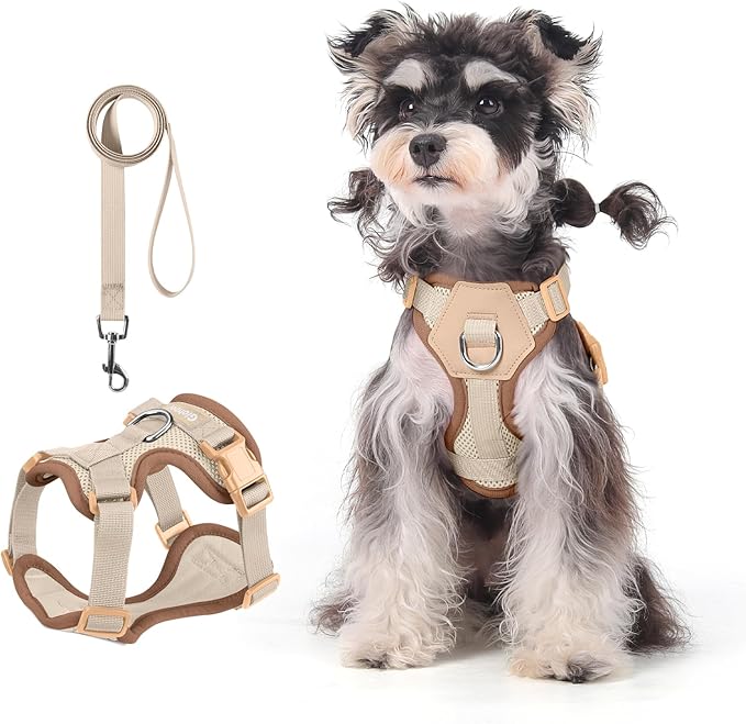 Small Dog Harness and Leash Set, Breathable Mesh Puppy Harness, Adjustable Dog Harness for Small Medium Large Dogs, No-Pull Pet Harness for Daily Walking (Faint Yellow, Large)