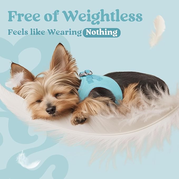 rabbitgoo Small Dog Harness, Step-in Soft Mesh Puppy Vest with Safety Buckle, Breathable Reflective Pet Harness for Small Sized Dogs, Mint Blue M