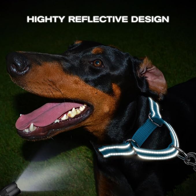 Joytale Martingale Collar for Dogs, Reflective Heavy Duty for Safety, Quick Release Buckle, Adjustable Nylon Collars for Large Dogs Walking Training, Sky Blue,L