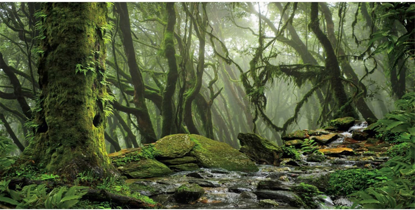 AWERT Foggy Forest Terrarium Background Stream Green Huge Tree Reptile Habitat Background Tropical Rainforest Aquarium Background 72x18 inches Durable Polyester Background