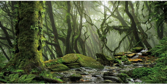AWERT Foggy Forest Terrarium Background Stream Green Huge Tree Reptile Habitat Background Tropical Rainforest Aquarium Background 72x18 inches Durable Polyester Background