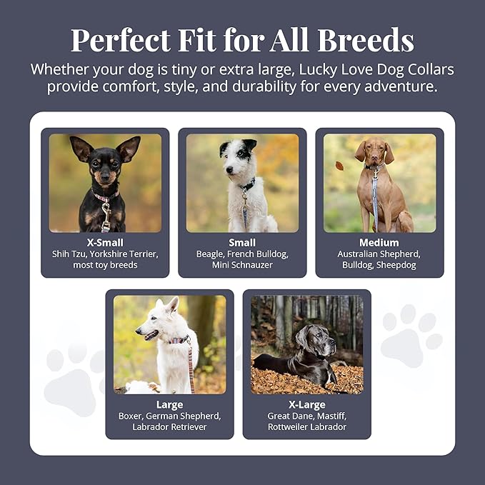 Lucky Love Dog - Adjustable Dog Collar with Easy Click Buckle for Small Dogs, Durable, & Comfortable Collar for Male & Female Dogs, Pet Collar for Puppies & Adult Dogs - Zuzu, Small