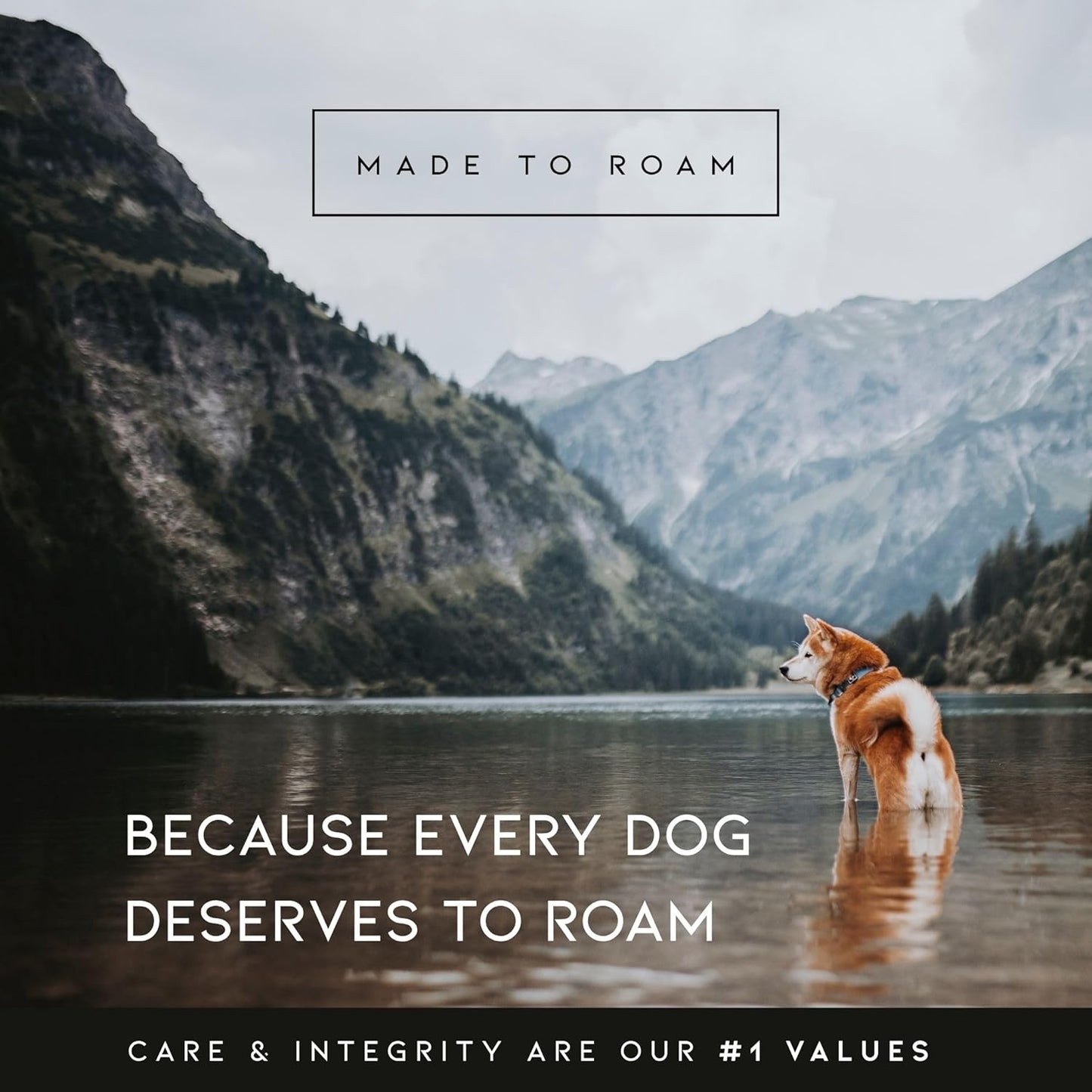MADE TO ROAM Premium Explorer Harness - Y-Shaped Dog Harness with Adjustable Durable Nylon, Soft Padding, Metal Buckles and Leather Handle for Small, Medium, Large Dogs (Montana Moonrise, Size 5)