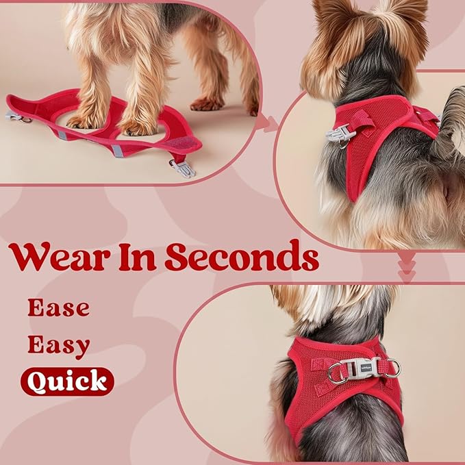 rabbitgoo Small Dog Harness, Step-in Soft Mesh Puppy Vest with Safety Buckle, Breathable Reflective Pet Harness for Small Medium Dogs, Red XL