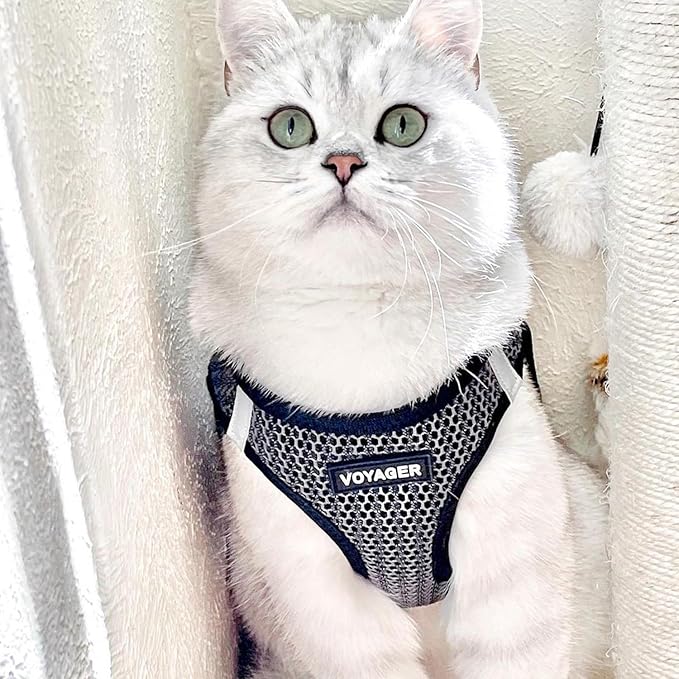 Best Pet Supplies - All Weather Mesh/Plush, Reflective, No Pull Harness for Small, Medium Dogs, Cats - Secure with Hook & Loop Fastener, Buckle, Double D-Rings - Gray 2-Tone, S