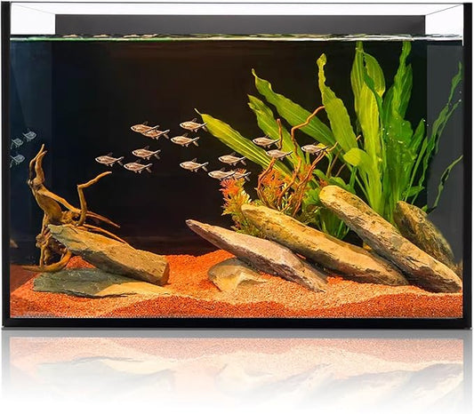 6 Gallon Glass Fish Tank, Small Aquarium Fish Bowl Cube for Betta Goldfish Snails Shrimp Aquatic Planting, Easy to Maintain Ultra Clear Rimless Design 5 Gallons Low Iron