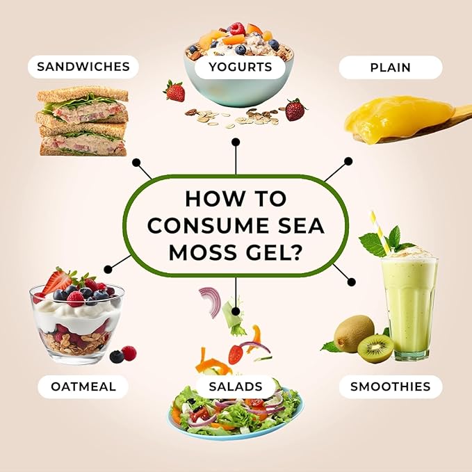 TrueSeaMoss Sea Moss Gel – Made in USA – Wildcrafted Seamoss, Fresh Fruits & Sea Vegetables – Blue Spirulina, Pack of 3 (Labels may Vary)