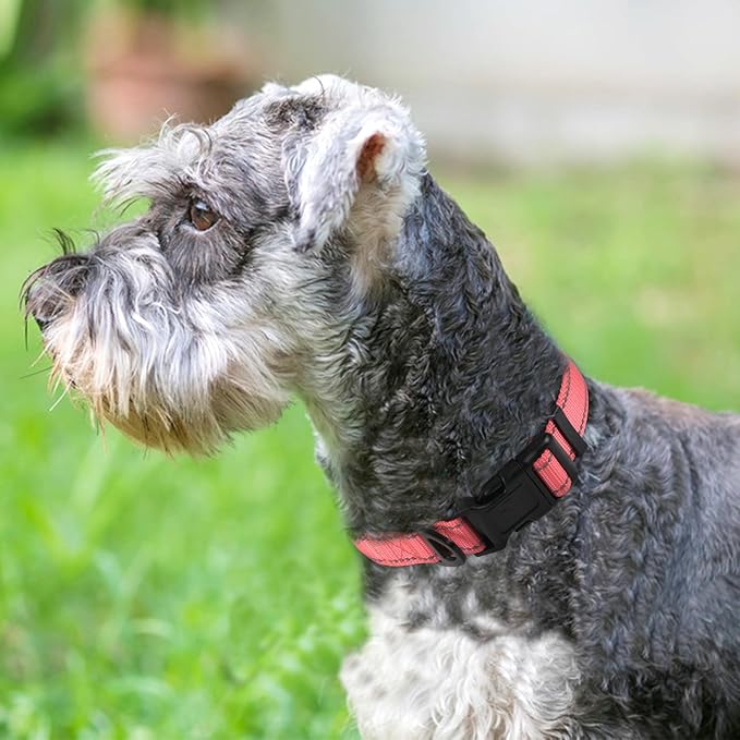 Joytale Reflective Dog Collar, Soft Neoprene Padded, Metal D-Ring, Nylon Pet Collar Adjustable for Small Dogs, Neon Pink, S