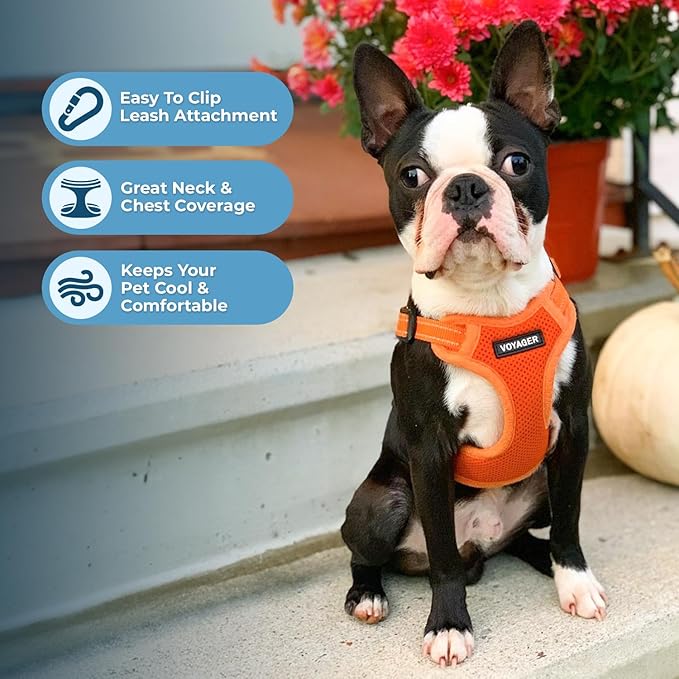 Best Pet Supplies Voyager Adjustable Step-in Flex Breathable Mesh Dog Harness for Small Medium Large Dogs Leash Set (Orange), L