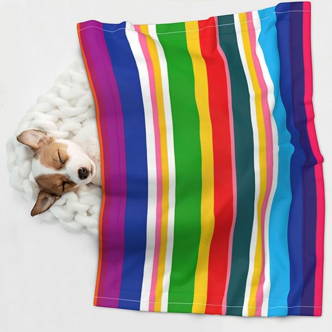 Pet Blanket for Couches and Beds, Novel Colorful Mexican Blanket Stripes, Reversible Double Sided Plush Design with Soft Bumpy Texture and Smooth Surface, Furniture Protector
