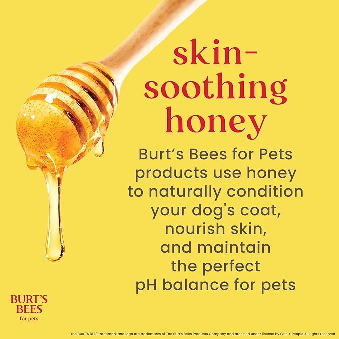 Burt’s Bees for Pets Oatmeal Dog Shampoo with Honey, Soothing Dog Shampoo for Itchy and Sensitive Skin, pH Balanced Formula That Gently Cleans and Moisturizes Dog Coats, 16 Fl Oz - 2 Pack
