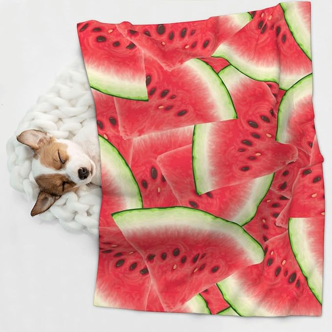 Double Sided Plush Pet Blanket with Cozy Dot Texture and Smooth Reverse, Watermelon Fruit Summer Art, Reversible Throw for Dogs Cats on Couches Beds Crates
