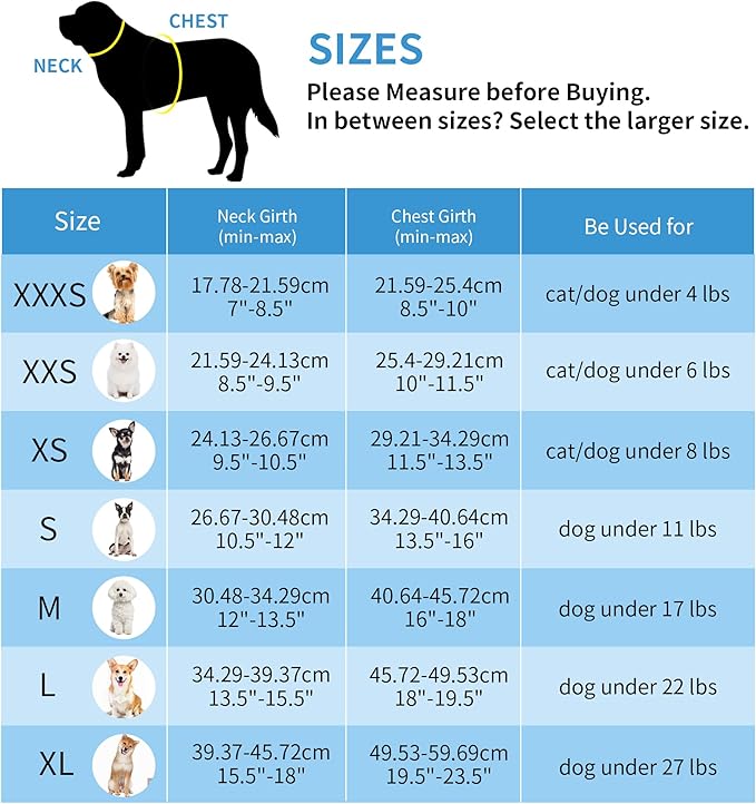 AIITLE Easy Walk Dog Harness and Leash Set - Pet Supply No Pull, Step in Adjustable Pet Harnesses with Padded Vest for Summer, No Choke Over, Easy to Put on Medium Dogs Green L