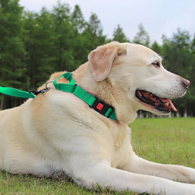 Joytale Martingale Collar for Dogs, Reflective Heavy Duty for Safety, Quick Release Buckle, Adjustable Nylon Collars for Small Dogs Walking Training, Green,S