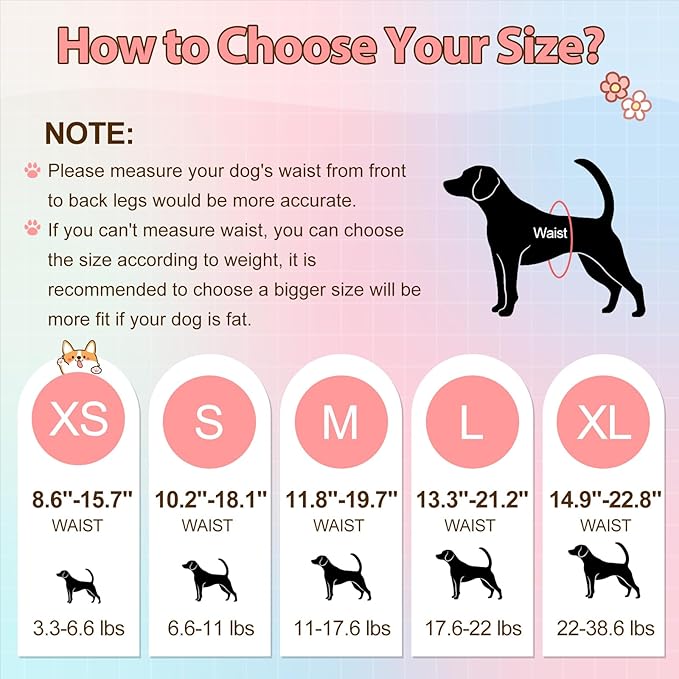 Ambreview Disposable Dog Diapers Female, Just Pull It Up, Doggie Diapers for Female Dogs, Strong Absorbency | Leak Proof, for Dogs in Heat | Elderly | Disabled, XS 30 PCS