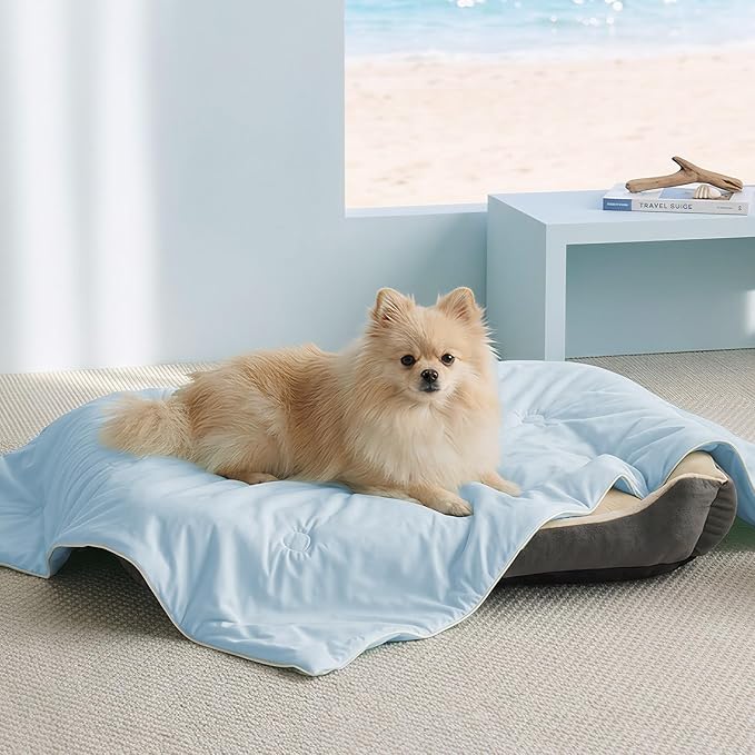 Soulbond Cooling Blanket for Extra Large Dogs - Q-MAX>0.45, Washable Cool Pet Cats Throw Blanket for Hot Weather, Self-Cooling Soft Dog Mat for Bed Crates Couch Sofa Cars(50"x60", Light Blue)
