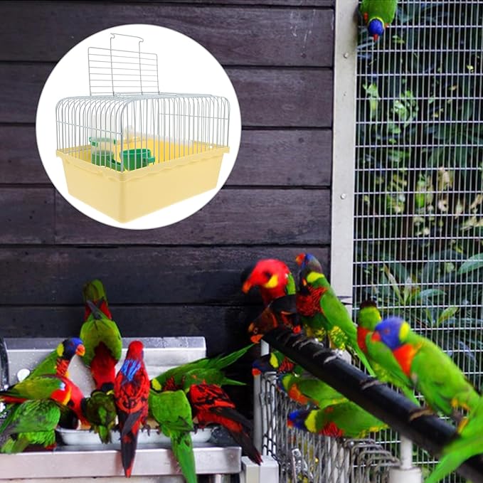 Kisangel Portable Bird Carrier Cage for Birds Travel Birdcage Stand Food Water Accessories for Parakeets and Lovebirds Construction