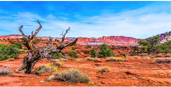 AWERT 48x24 inches Reptile Habitat Background Blue Sky Oasis Orange Desert Terrarium Background Polyester Background