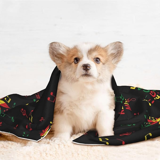 Reversible Pet Blanket for Sofa Protection Pet Comfort, Rasta Reggae Music Note Weedleaf Leaf, Double Sided Design with Cozy Nubby Nap Side and Durable Smooth Play Side