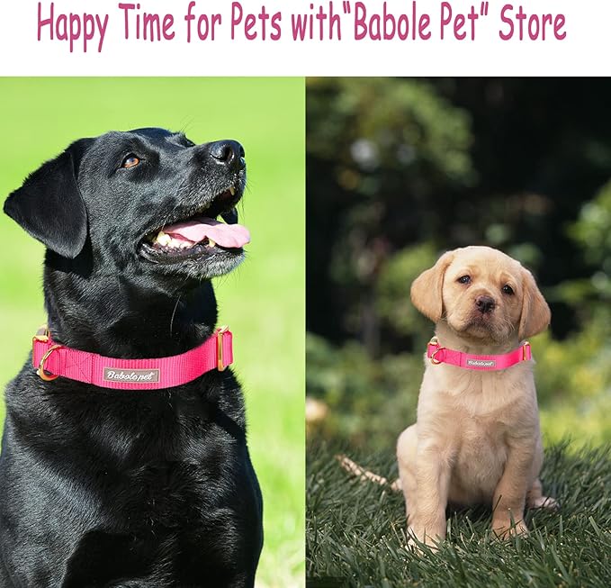 Nylon Dog Collar - Adjustable Rose Red Soft Webbing Dog Collars for Small Medium Large Dogs Boy Girl Puppy Collar with Safety Metal Buckle L